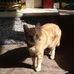 Tyler Keech - Facebook