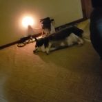 Tyler Kenealy - Facebook