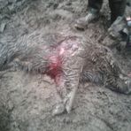 Tyler Kenealy - Facebook
