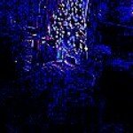 tyler kidder - @kidder.tyler - Instagram