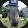 Tyler Kidder - @tyler.kidder4 - TikTok