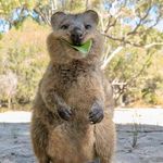 @tyler.klinkhof - Instagram