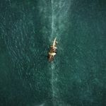 Tyler Klink - @klinkatwork - Instagram