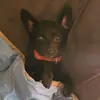 Tyler Knowlden - @tyler.knowlden - TikTok