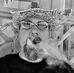 Tyler Kobel - Facebook