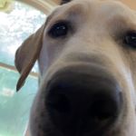 Tyler Kolb - @tkolb35 - Instagram