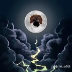 Tyler Koop - Facebook
