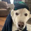 tyler.heykoop - @tyler.heykoop - TikTok