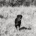 Tyler Korte - Facebook