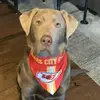 tylerlafferty362 - @tylerlafferty362 - TikTok