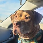 Tyler Langenfeld - @tleigh991 - Instagram