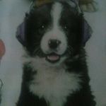 kalub tyler lapointe - @kalubtyler - Instagram