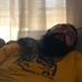 Tyler Larkin - Facebook