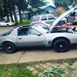 Tyler Larkin - @tylerlarkin9383 - Instagram