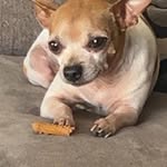 Tyler Leal - @tyler_leal43 - Instagram