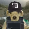 tylerleal82 - @tylerleal82 - TikTok