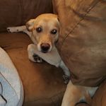 Tyler Lynn Leatherman - @leathermantyler04 - Instagram