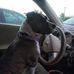 Tyler Laxson - Facebook