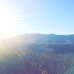 Tyler Legg - @tyler.legg23 - Instagram