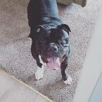 Tyler Legg - @tylerlegg12822 - Instagram