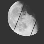 Tyler Legg - @legg6199 - Instagram