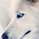 Tyler Ray Lemay - @jugg3rn4unt - Instagram