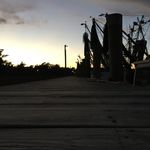 Tyler lester - @lester_tyler - Instagram