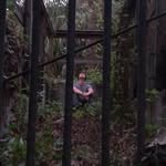 Tyler Levine - @cinnanol - Instagram