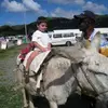 tyler.levine_6 - @tyler.levine_6 - TikTok