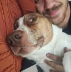 Tyler Lewallen - Facebook