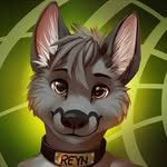 Tyler Linden - @tylerleelinden - Instagram