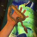 Tyler Lindenmuth - @tyler.lindenmuth - Instagram