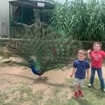 Ryan Lindley - @ryantylerlindley - Instagram