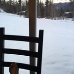 Tyler Lindley - @lindleytyler - Instagram