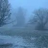 ️ - @tyler.linksweiler - TikTok