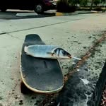 Tyler Link - @link.tyler - Instagram