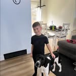 Tyler Linn - @tyler_linn24 - Instagram