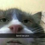Tyler Lipa - @lipatyler - Instagram
