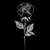 loe_tyler20 - @loe_tyler20 - TikTok