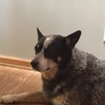 Tyler Logsdon - @tyler_logsdon_75 - Instagram