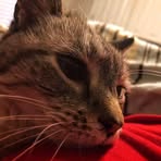 Tyler Lowenthal - Facebook