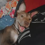 Tyler Luna - @tyler_luna02 - Instagram