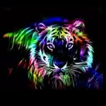Tyler Lunardi - @tylerlunardi500 - Instagram