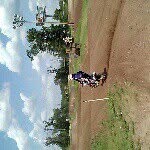 tylerrr - @tylerluna31 - Instagram