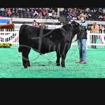 Tyler Lundy - @tyler_15555 - Instagram