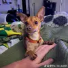 Tyler lutz - @lutzie.01 - TikTok