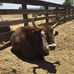Tyler Lyman - Facebook