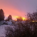 Tyler Maas - @tylermaas123 - Instagram