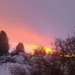 Tyler Maas - Facebook