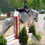 Tyler MacKenzie - @tm_equine1 - Instagram
